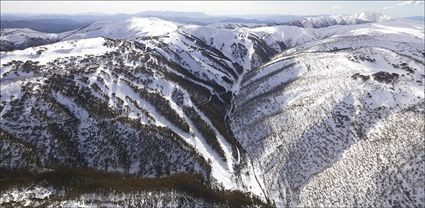 Mt Hotham - VIC T (PBH4 00 9568)